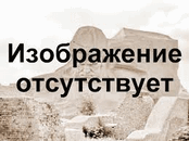 учебник семиотика детских болезней